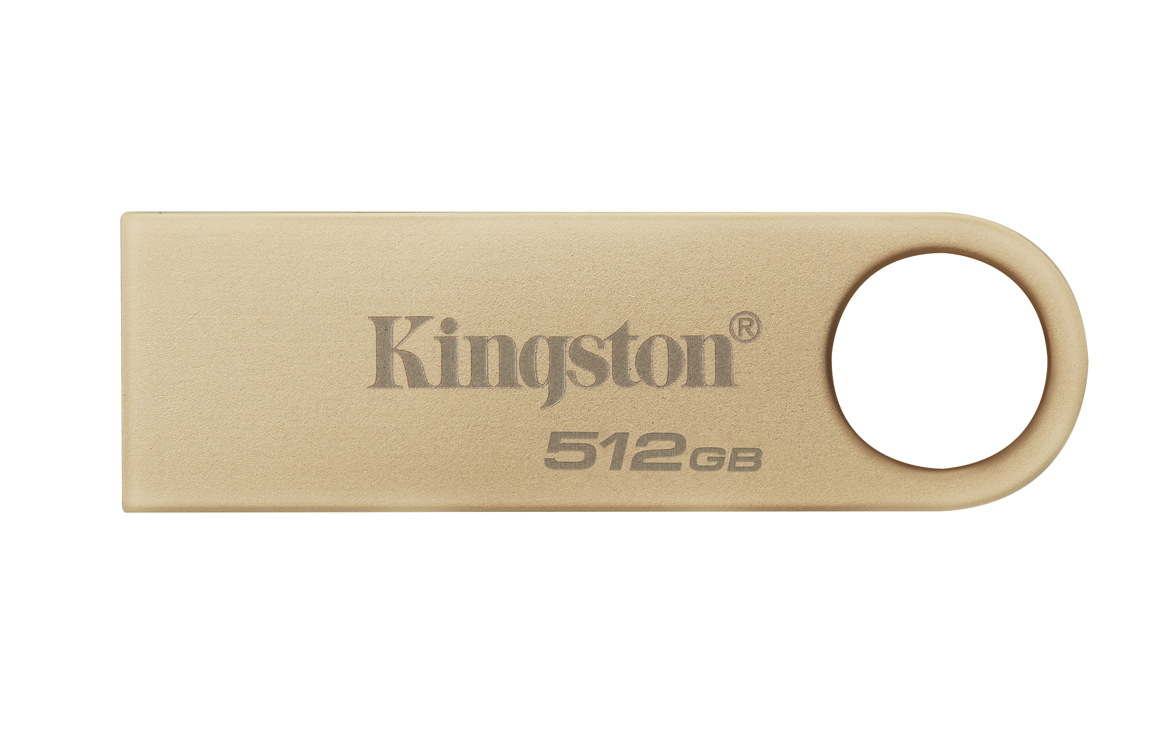 Memoria USB Kingston Technology DATATRAVELER SE9 G3